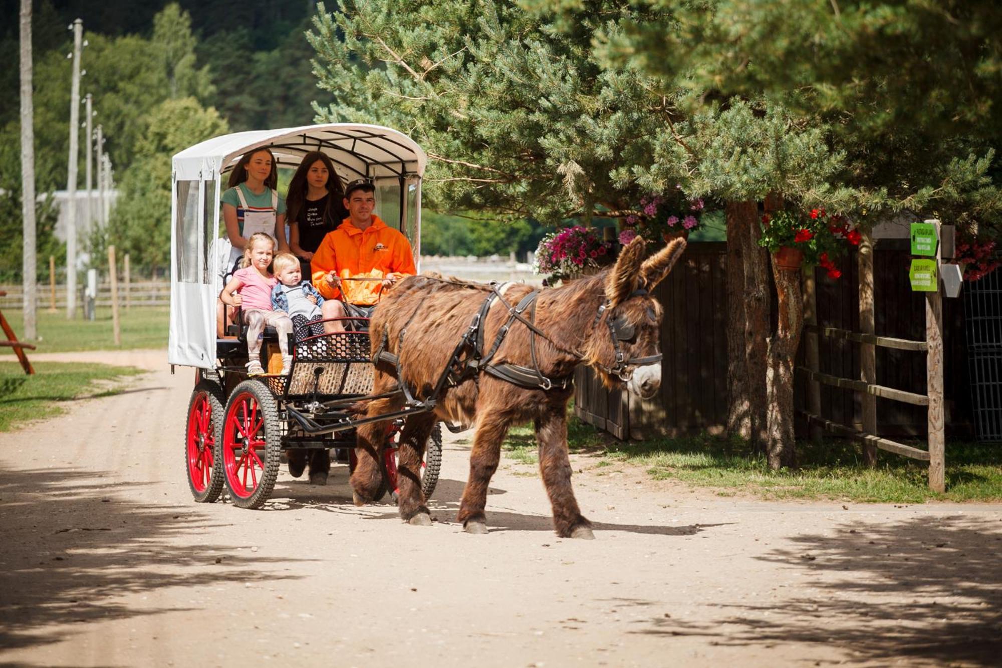 Raksi Otel Cēsis Dış mekan fotoğraf